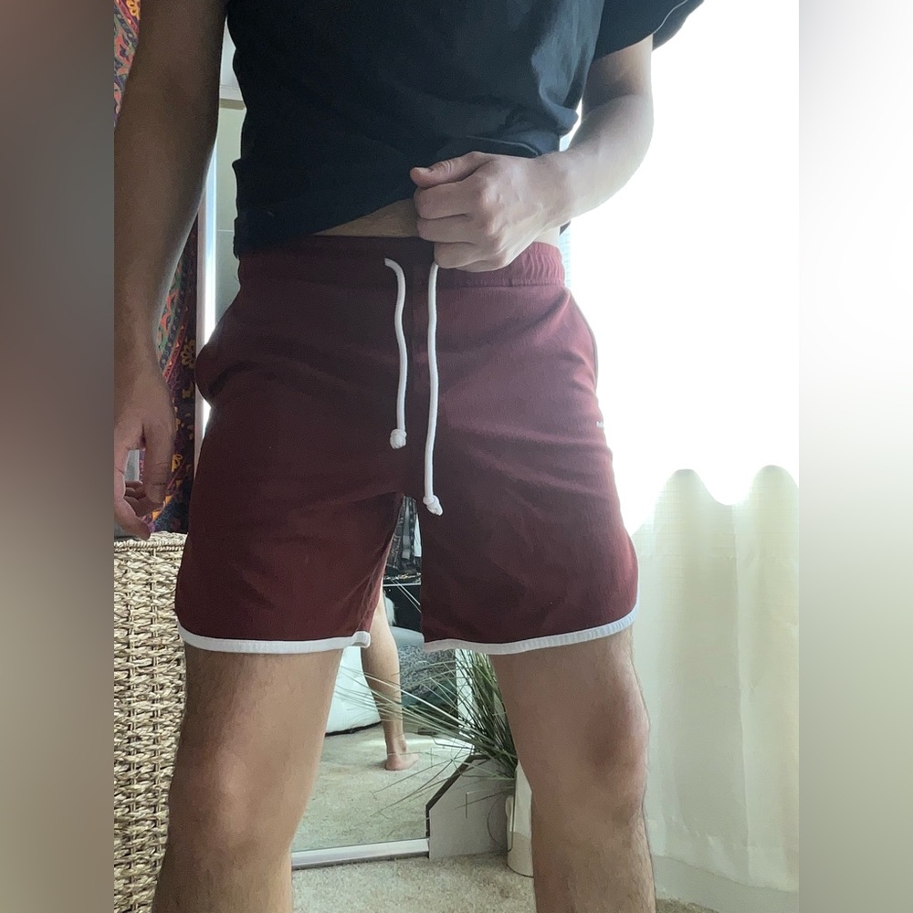 Pacsun volley shorts